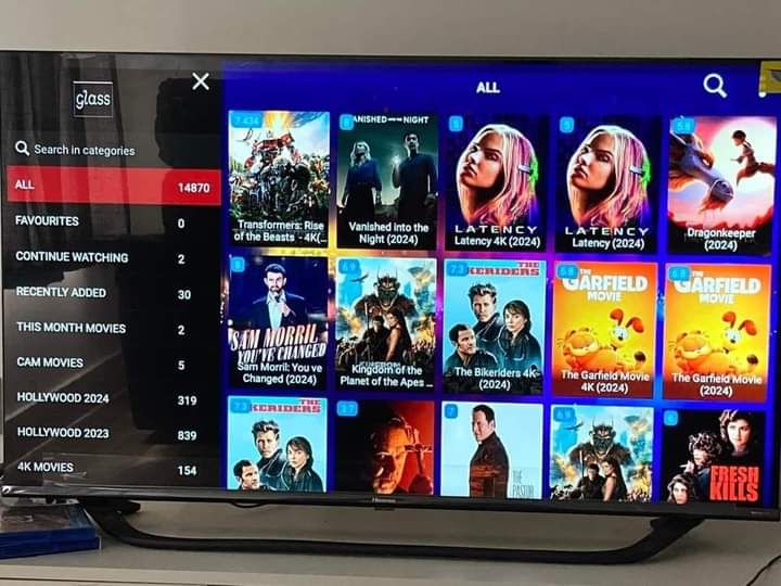 Flash IPTV Customer Reviewer Camille L